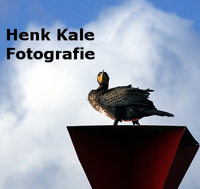 Henk Kale Fotografie